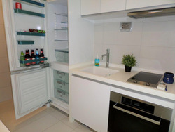 Suites At Orchard (D9), Apartment #431228121